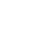2 Icon