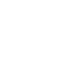 1 Icon